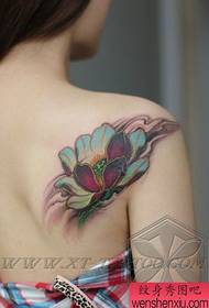 Traditional colored lotus tattoo pattern for girls with a beautiful shoulder