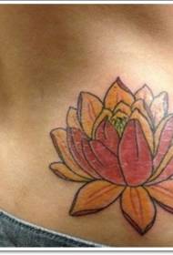 Midjefärgat fint lotus tatueringsmönster