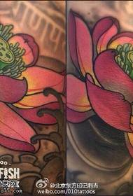 Patrón de tatuaxe de loto pintado realista