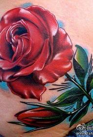 Kaunis vatsa kaunis kaunis värillinen ruusu tatuointi malli