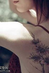 Patrón de tatuaxe de ameixa traseira