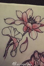 Käsikirjoitus klassinen luonnos lotus-tatuointikuvio