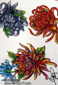 纹身手稿:彩色菊花纹身手稿