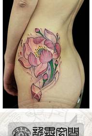 Bela aspektanta lotuso-tatuaje-ŝablono sur la dorsoj