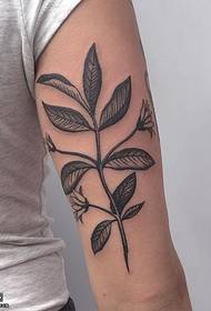 Shoulder classic plant tattoo pattern