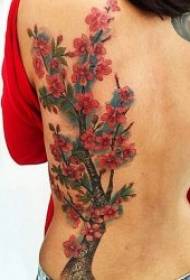 Cherry blossom tattoo pattern 10 prekrasnih svježih tetovaža uzoraka trešnje