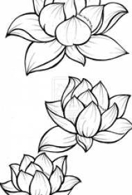 Nindot nga itom nga yano nga linya malalang nga tanum nga bulak nga lotus tattoo nga manuskrito