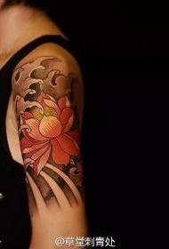 Pattern di tatuaggi di spalla di lotus di bellezza