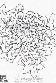 美麗的菊花手稿紋身圖案