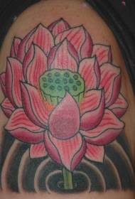 Shoulder color pink water lotus tattoo pattern
