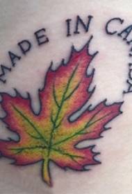 Fiúk karja festett gradiens angol szavak és növényi juharlevél tetoválás képeket