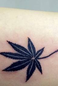 Maple caleen tattoo ah oo ku raaxeysta hawada cusub ee dabiiciga ah