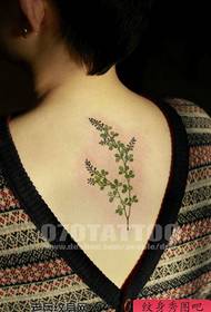 Krása zpět módní trávy tetování vzor