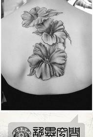 ຮູບແບບ tattoo hibiscus ທີ່ສວຍງາມແລະສວຍງາມຢູ່ດ້ານຫລັງຂອງຄວາມງາມ