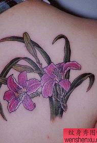 Tattoo 520 Gallery: Back Shoulder Lily Tattoo Pattern Picture