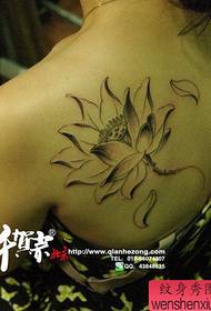 Female shoulders popular beautiful black and white lotus tattoo pattern