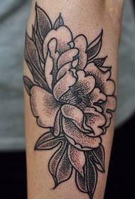 10 belaj nigraj prickly peony tatuaj desegnoj