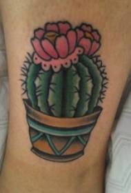 Boys line painted geometric lines plants flowers cactus tattoo pictures