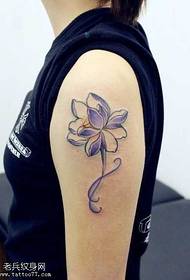 Uzorak boje lotosa tetovaža uzorak