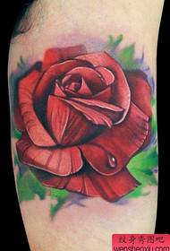 'n pragtig mooi gekleurde roos-tatoeëring aan die binnekant van die arm