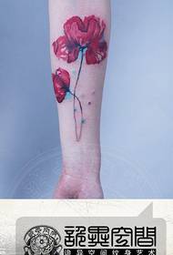 Pragtige popkleur-tatoeëringpatroon van papaweblomme