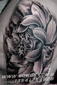 ກັບຄືນໄປບ່ອນຮູບແບບ tattoo lotus ຂະ ໜາດ ໃຫຍ່ແບບເກົ່າແກ່