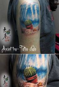 En vacker kaktus i flickans arm är ett mönster