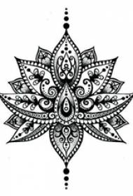 Punte di puntura di schizzo di nero grigio creativo squisito bellissimo tatuaggio di loto