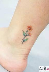 Mała świeża seria małych kwiatowych wzorów tatuaży Daquan