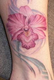 Froulike poaten kleurde roze orchideetatuerpatroan