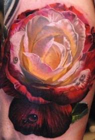 Legs realistic color big rose tattoo pattern