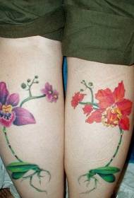 Female legs colored orchid tattoo pattern