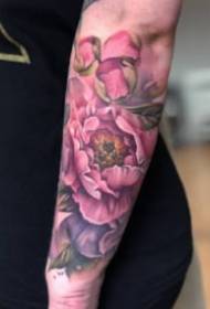 Rózsaszín rózsa tetoválás Rózsaszín rózsa tetoválás minta víz szín stílusban
