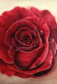 सुंदर वास्तववादी गुलाब टॅटू नमुना