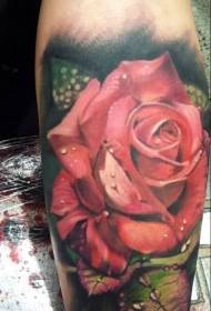 Arm color realistic red rose tattoo picture
