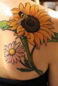 А сорта на насликани акварел скица креативна уметност мала свежа и убава шема на тетоважи од сончоглед