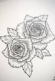 Europos ir Amerikos linijos rožių tatuiruotės modelio rankraštis