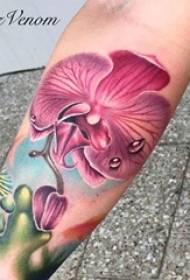 Różnorodność malowanego akwareli szkicu kreatywnego literackiego piękny delikatny wzór tatuażu kwiatowego