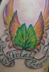 Kruro koloraj flugiloj latina alfabeto tatuaje
