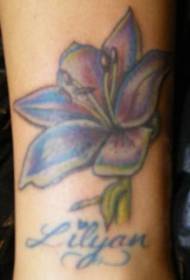 Piedkoloro lilio floro kun angla alfabeto tatuaje ŝablono