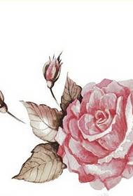 Modes izskatīga krāsainā rožu tetovējuma manuskripta raksta attēls