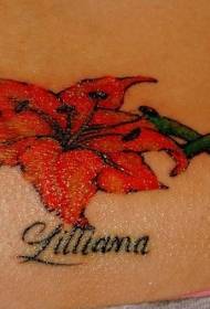Vatsaväri liljakukka tatuointikuvio