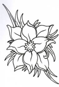 Սև գծի արվեստի փոքր թարմ, գեղեցիկ ծաղիկների դաջվածքի ձեռագիր