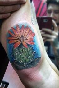 ფერადი cactus tattoo ნიმუში მკლავის რეალისტურ სტილში