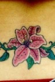 Elegáns liliom szőlő tetoválás minta