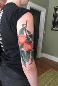 Boys arm painted on gradient simple lines plant leaves and peach tattoo pictures