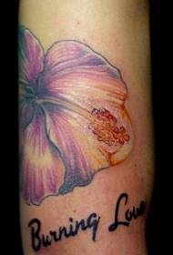 I-tattoo enemibala ye-lilac hibiscus enemibala