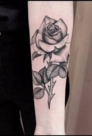Il·lustració del tatuatge de rosa és un grup de bells i bells patrons de tatuatges de roses