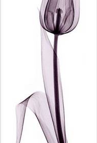 Tattoo rhoncus pulchra tulipa flos exemplar,