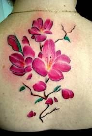Fermoso patrón de tatuaxe de flor de cereixa na parte traseira